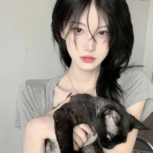 金鱼妻电视剧完整版在线